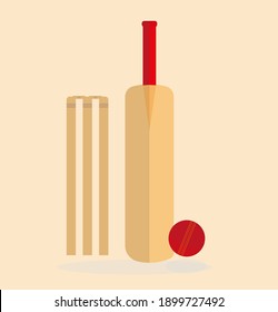 Cricket equipment flat vector illustration isolated on light background