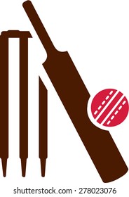 Cricket Equipment Icon