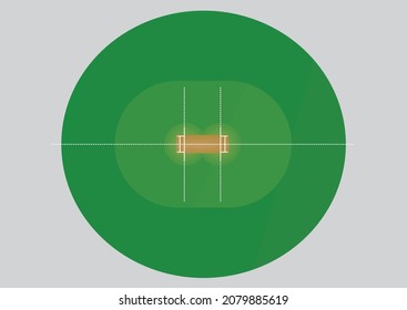 Cricket field isolated. vector illustration