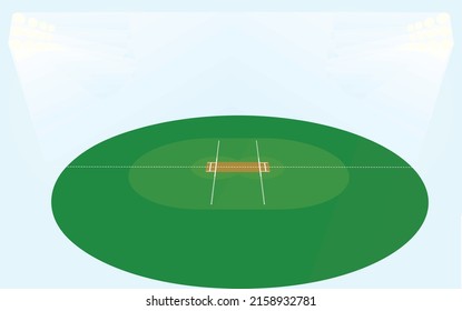 Cricket field isolated. vector illustration