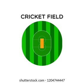 Cricket field plan . Vector cricket arena with grass