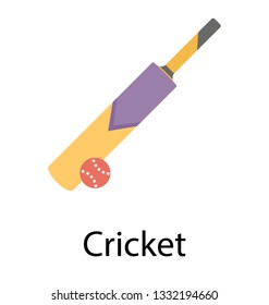 Cricket flat icon design 