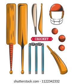 Cricket game equipment