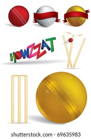 Cricket game items - vector illustrations