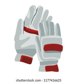 Cricket gloves isolated