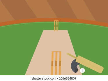 Cricket ground vector flat design