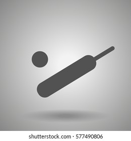 cricket icon 