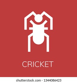  Cricket icon. Editable  Cricket icon for web or mobile.