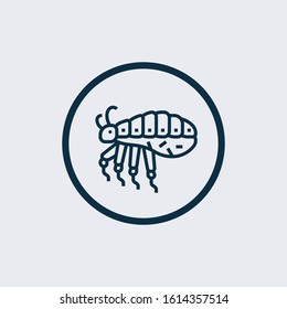 Cricket icon. Insect concept. Vector illustration