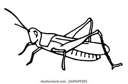 Ícone de ilustração de críquete do selo da caneta gafanhota e da página de coloração de tinta para crianças da escola