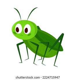 cricket insect cartoon icon isolated