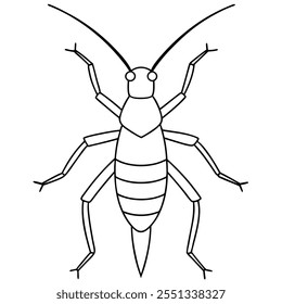 Ilustración vectorial plana del insecto del grillo en un fondo blanco