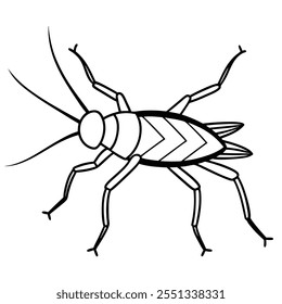 Ilustración vectorial plana del insecto del grillo en un fondo blanco