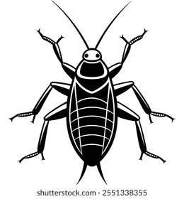 Ilustración vectorial plana del insecto del grillo en un fondo blanco