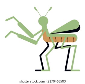 cricket insect garden spring icon