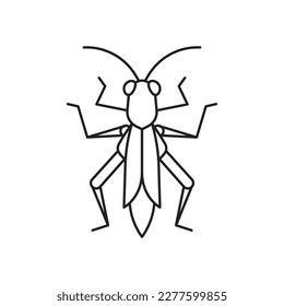 Cricket insect icon. High quality black vector illustration.