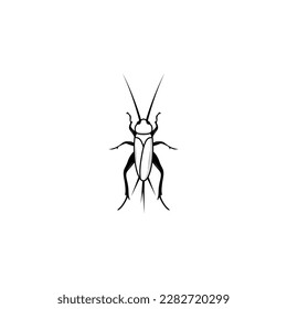 Cricket insect icon isolated vector graphics