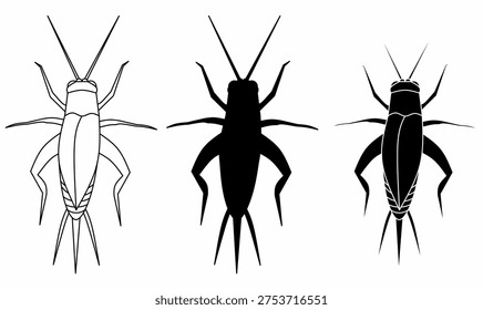 Cricket insect icon set.vector illustration in Outline and silhouette for entomology, pest or nature themes. true crickets