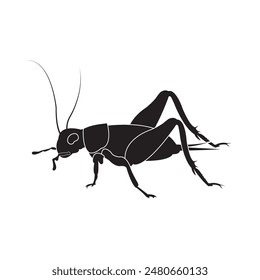 cricket insect icon vector illustration design template