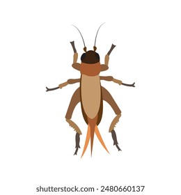 cricket insect icon vector illustration design template