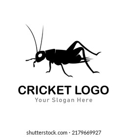 cricket insect logo abstract vector