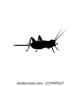 cricket insect logo vector template