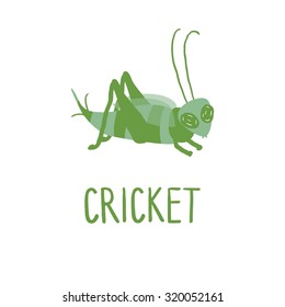 cricket , insect vector