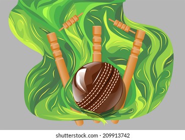 cricket match