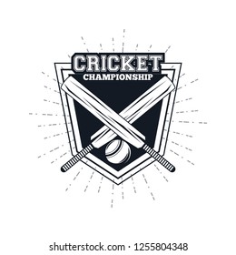 cricket player badge