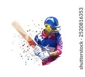 Cricket player, batsman, isolated low poly vector illustration