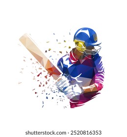 Cricket player, batsman, isolated low poly vector illustration