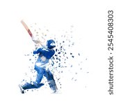 Cricket player, batsman, low polygonal vector illustration, rear view