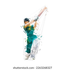 Cricket player, isolated low polygonal vector illustration, cricketer, striking batter, geometric drawing from triangles