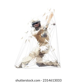 Cricket player, isolated low polygonal vector illustration, geometric drawing from triangles. Cricket logo