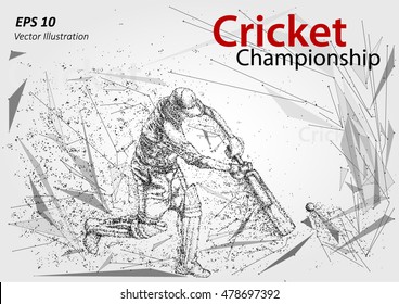 Cricket player silhouette, particles. Cricket championship. Illustration of batsman playing cricket - stock vector 