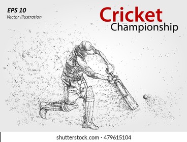 Cricket player silhouette, particles. Cricket championship. Illustration of batsman playing cricket - stock vector 