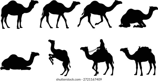 Conjunto de Vectores de silueta de jugador de cricket, poses de acción negras, tema deportivo, posturas dinámicas, ilustración atlética, roles de equipo, concepto de juego, gráficos de campo y bateo
