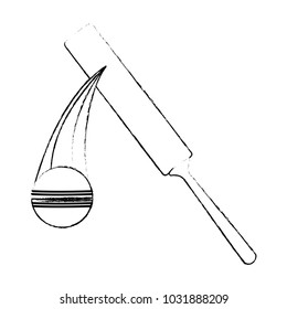 Cricket rackets and ball equipment