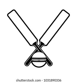 Cricket rackets and ball equipment