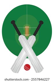 Cricket set in front of field. vector