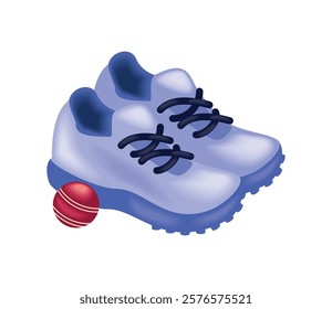 Cricket shoes for players vector