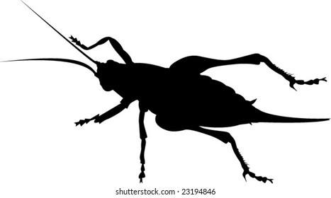 Cricket silhouette