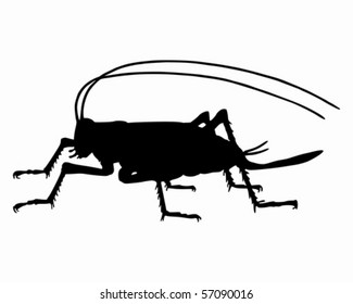 Cricket silhouette