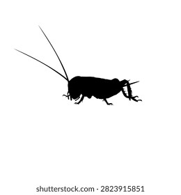 Cricket Silhouette Isolated, can use for Pictogram, Sign, Icon, Symbol, Insect Animal Illustration, Logo or Graphic Design Element. Vector