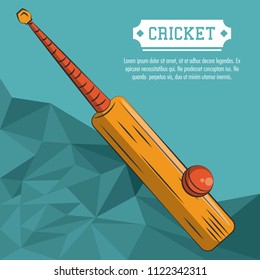 Cricket sport poster