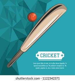 Cricket sport poster
