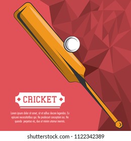 Cricket sport poster
