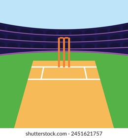  Cricket stadium illustration vector Cricket Pitch Icons Vector Cricket Sports