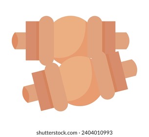 cricket stumps bails illustration isolated