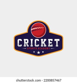 Cricket Team Logo Template Design